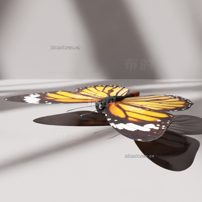 blender蝴蝶-待绑定模型_blender布的15