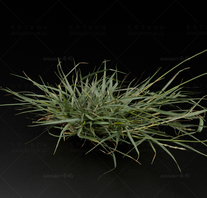 blender写实植物野草模型blender布的08