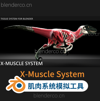 Blender插件-肌肉系统模拟工具 X-Muscle System 3.0