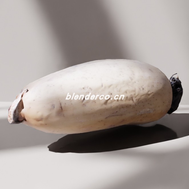 blender莲藕模型_blender布的73