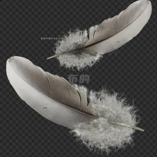 blender鸽子羽毛模型_blender布的49