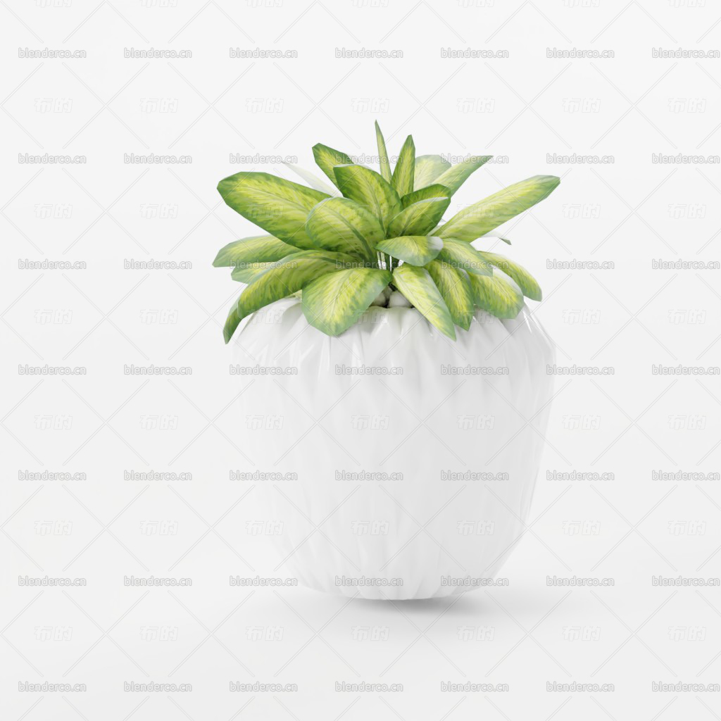 blender盆栽模型-blender布的200