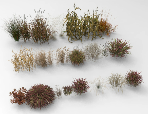 C4D FBX STL OBJ SU Blender芦苇枯草灌木蒲苇植物草丛三维3D模型