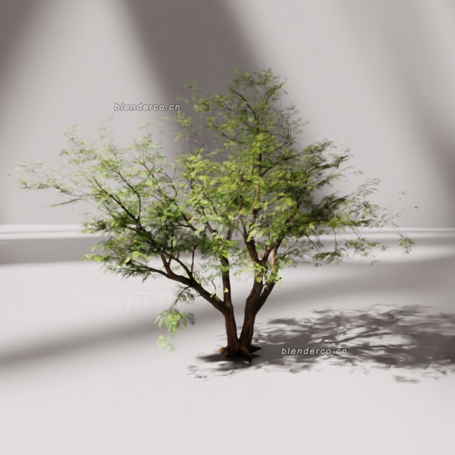 blender树木模型_blender布的104