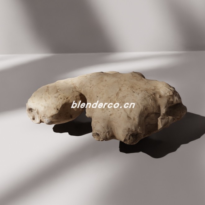 blender生姜模型_blender布的57