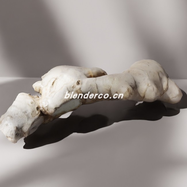 blender生姜模型_blender布的55