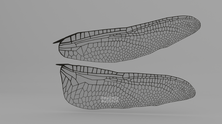 蜻蜓翅膀建模-大量的蒙皮修改器