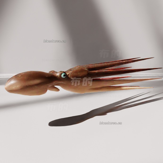 blender八爪鱼模型_blender布的11