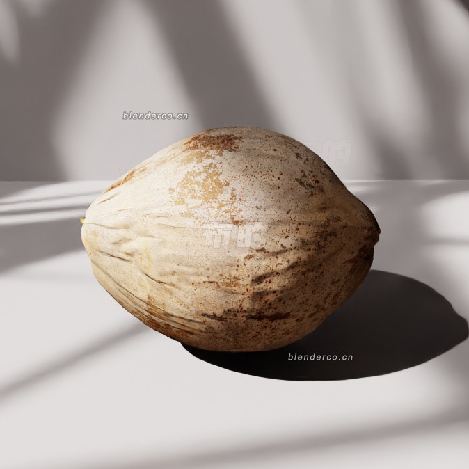 blender椰子模型_blender布的09