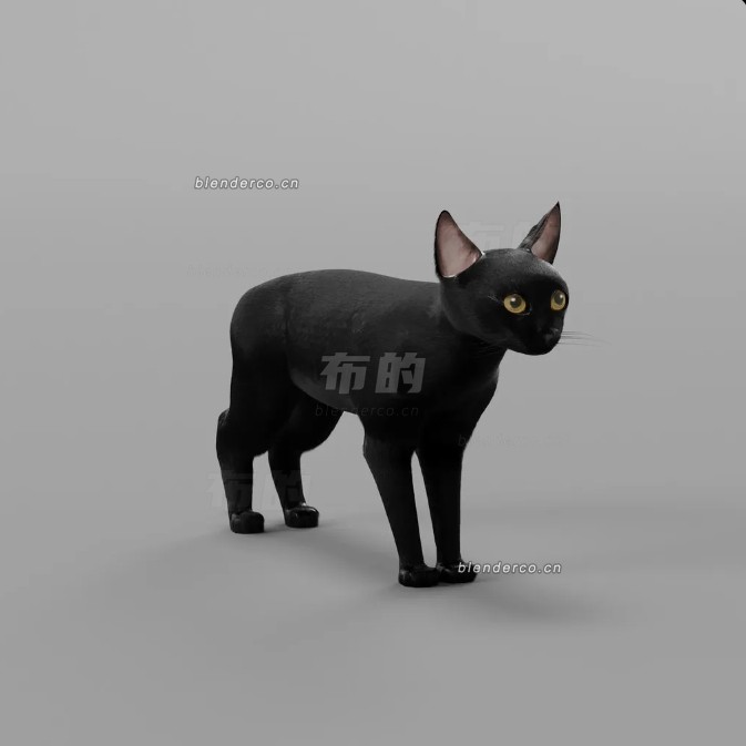 blender黑色猫咪模型_blender布的110