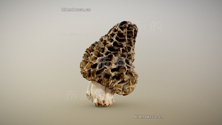 blender蘑菇模型_blender布的29