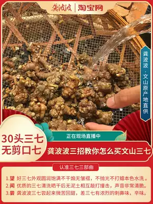 Gong Bobo Yunnan Wenshan special spring three seven 30 head 500g wild field seven without cutting mouth ultra-fine three seven powder