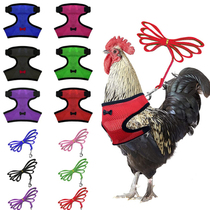 Walking chicken rope hen leash pet out duck goose poultry training clothes hand rope male rooster chest strap