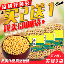 Shizhou selenium-rich soybeans polished soy milk special hair Bean Sprouts Farmers miscellaneous grains Alpine soybeans 300gX3 bags