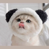 Милая шапка, аксессуар для волос, с медвежатами, наряжаться