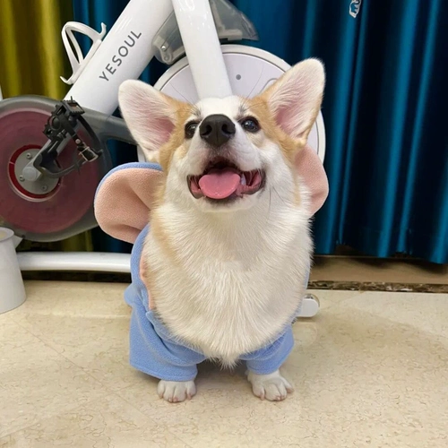 Демисезонный утепленный зимний жилет, осенний сезон