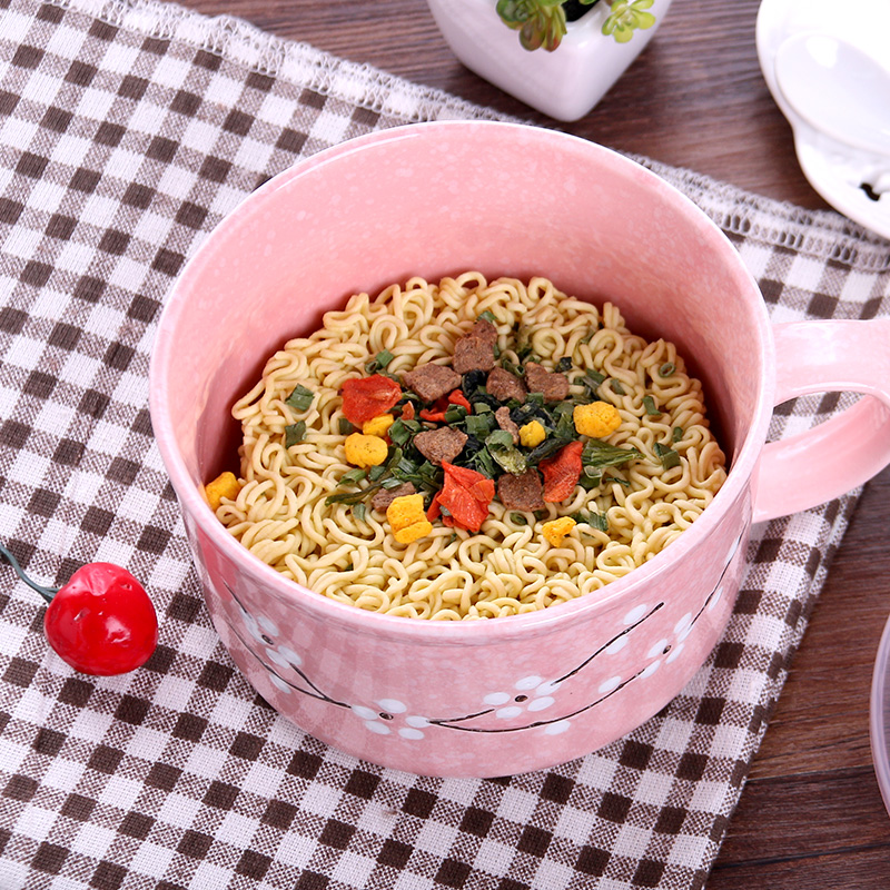 Mercifully rainbow such as bowl with cover the dormitory with students to use chopsticks sets ceramic bowl with Japanese lunch box mercifully rainbow such as bowl bowl dorm