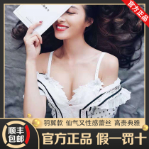 Micisty Mixi Xidi wing bra set gathered sexy lace high-end underwear female comfort