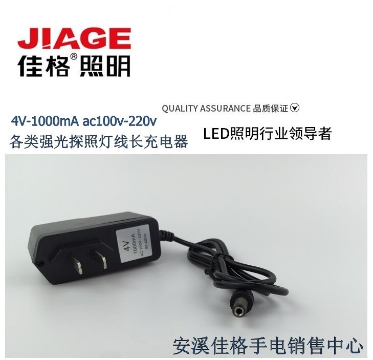 The Jiagh 4V 1000mA ac100V-200V50-60Hz straight charging line charging charger