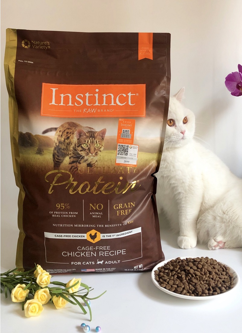 Spot Lifa Vàng tự nhiên Gabriel Cao Protein Gà Gà Thực phẩm Không Thịt Bột Tổng quát Thức ăn chính 10 lbs 4 lbs - Cat Staples Hạt Cateye cho mèo có tốt không