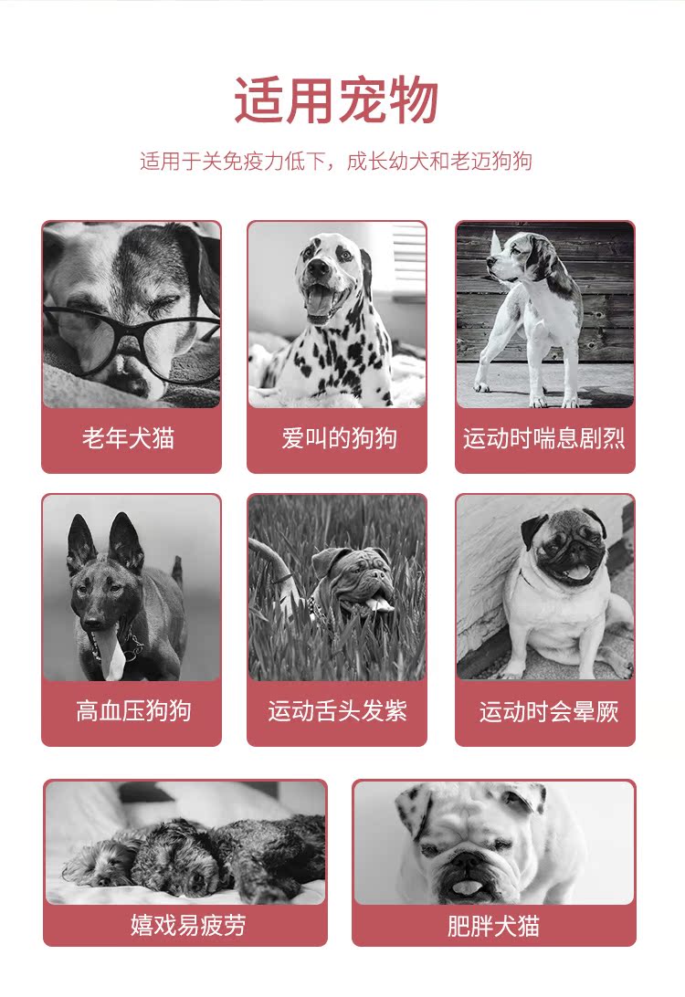 Úc Totalpet pet dog cat sản phẩm chăm sóc sức khỏe ngăn ngừa bệnh tim mạch khỏe mạnh nghệ xanh môi hến sữa bột cho chó