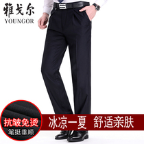 Brand black casual pants 2020 spring and summer new mens business non-iron thin straight waist casual pants