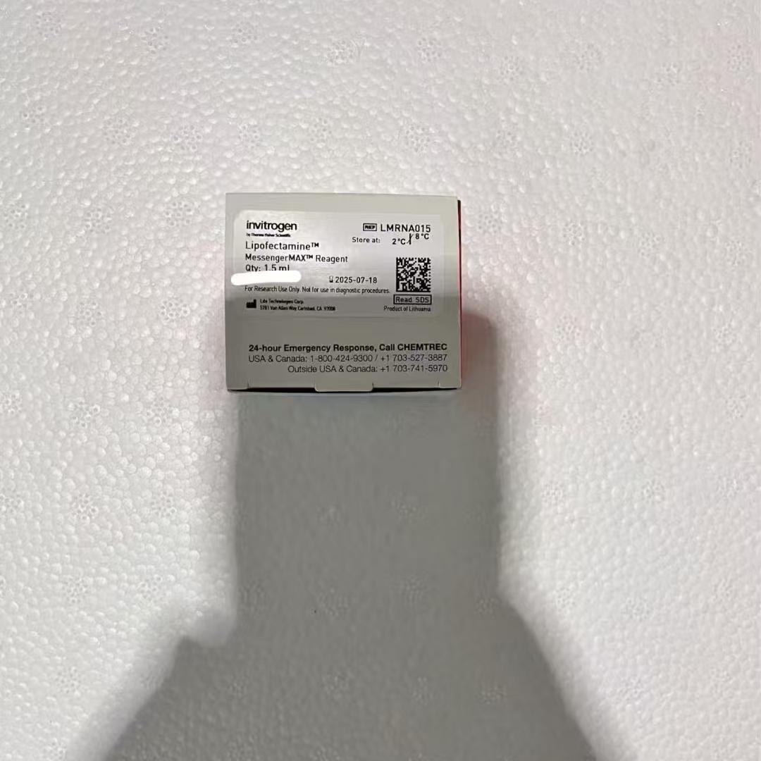 Invitrogen/Lipofectamine? MessengerMAX? 转染试剂/LMRNA015