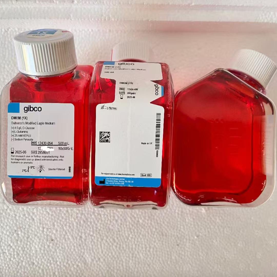 Gibco/DMEM高糖含HEPES，不含丙酮酸钠/12430054/500ml