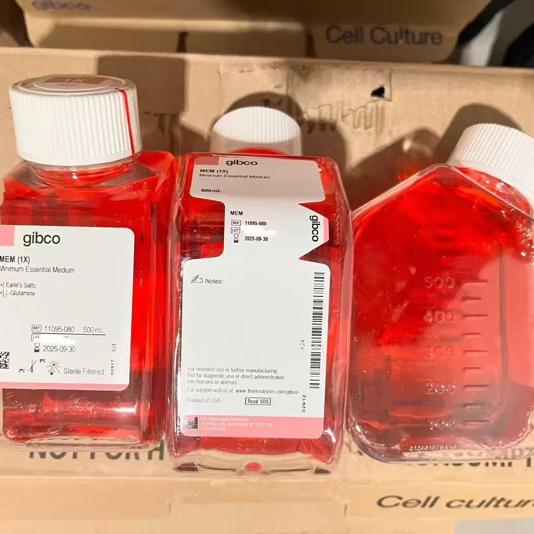 Gibco/MEM 培养基/11095080/500ml