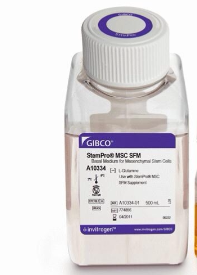 Gibco/StemPro MSC SFM培养基/A10334-01/500ml