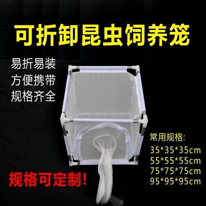 拆卸式昆虫饲养笼75*75*75cm养虫笼养蚊笼养虫箱包邮可定制可开票