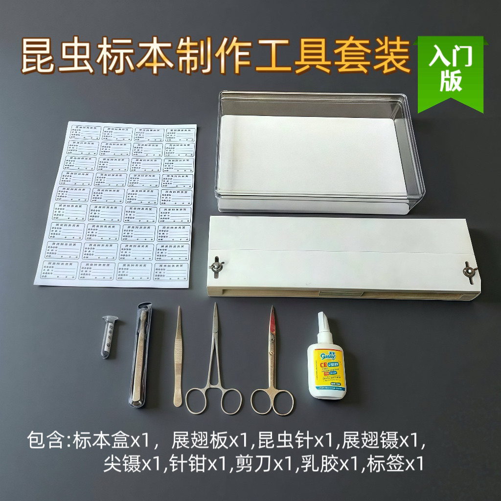 标本制作工具套装(入门版)昆虫针标本盒学生课外教学包邮可开票