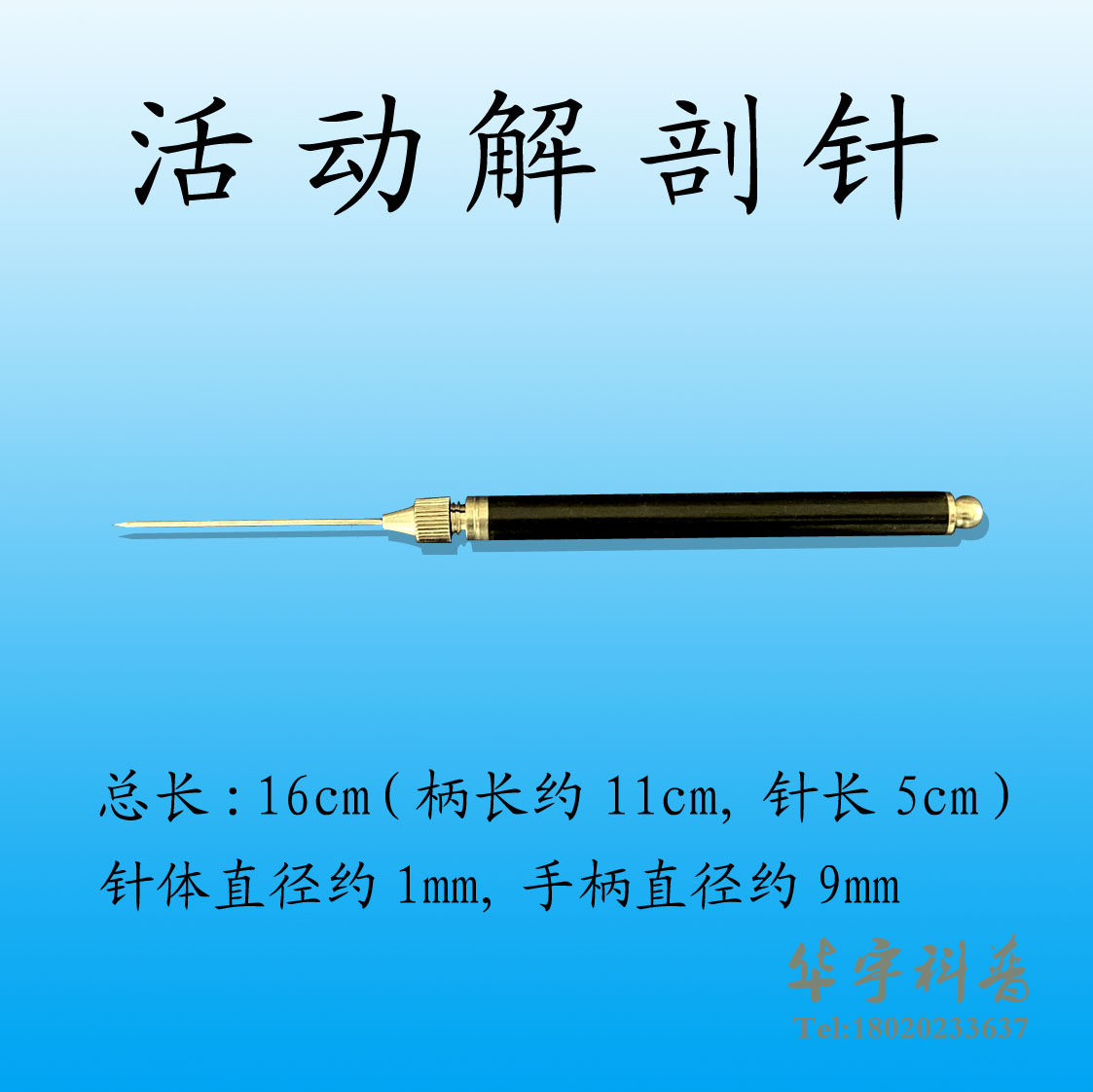 活动解剖针头部可拆卸不锈钢针挑针