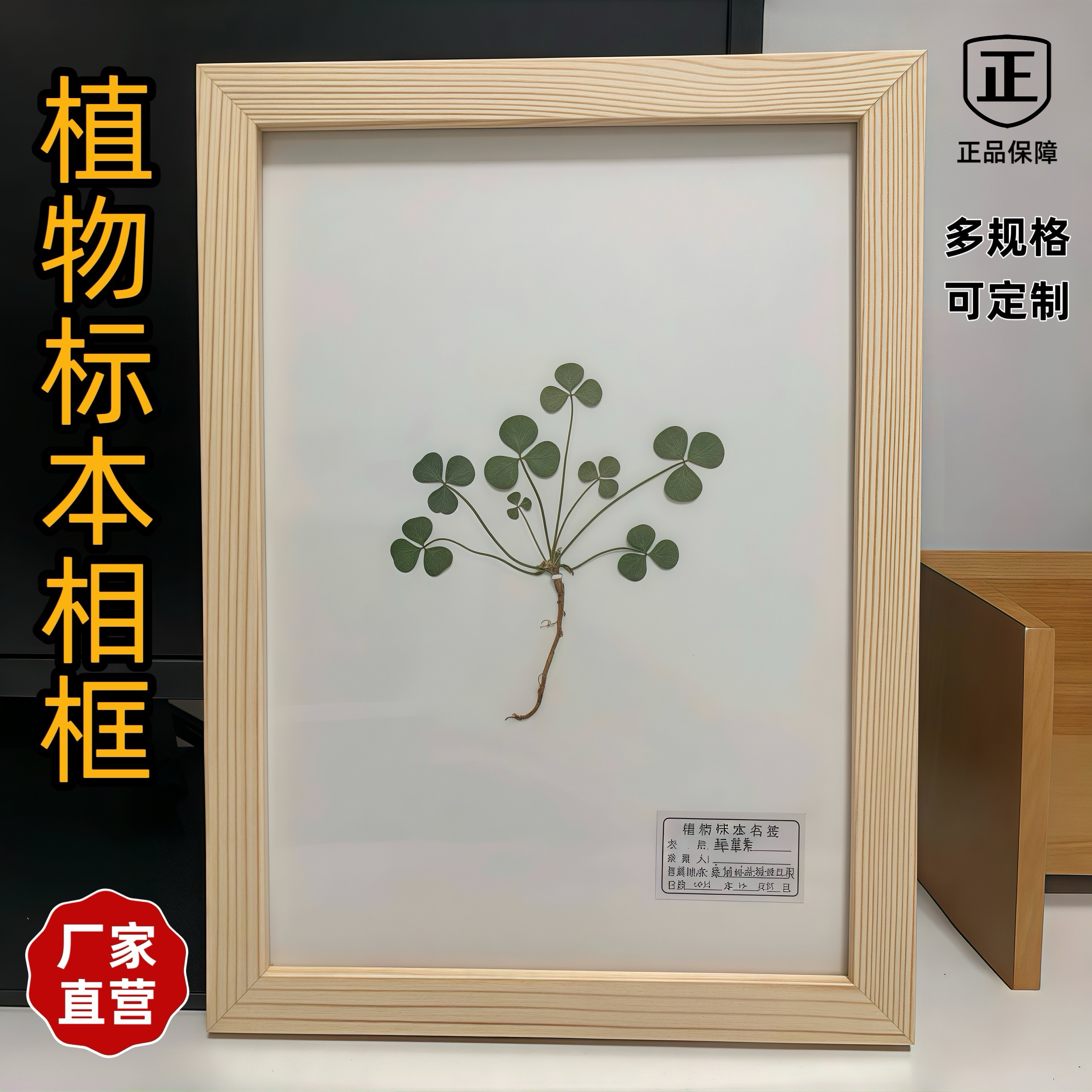 植物挂墙标本展示框标本室展示框相框摆台装饰画框 可开票