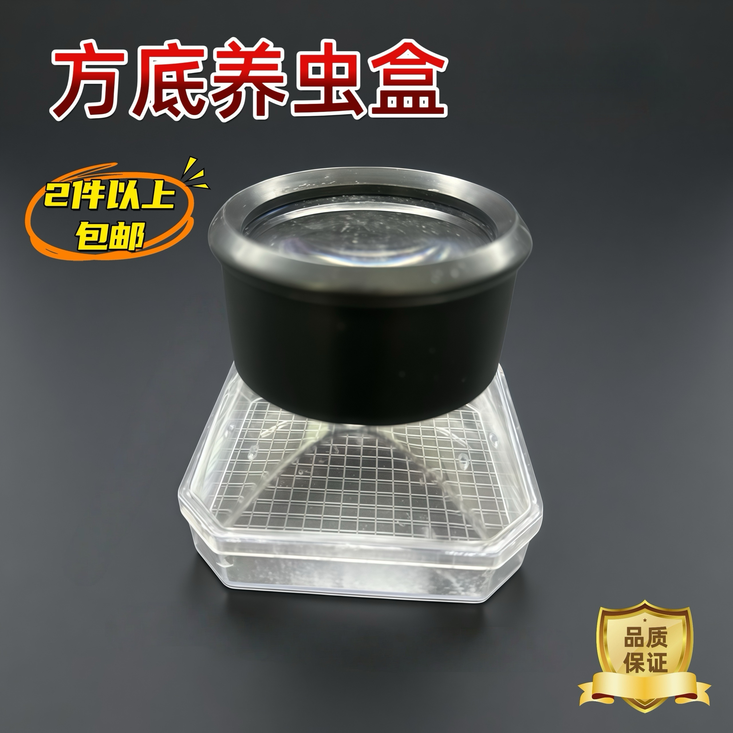 方底养虫盒带放大镜网格塑料透明8.5x8.5cm观察盒包邮可开票