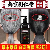 Nanjing Tongrentang He Shou Wu pure plant white hair turned black hair in the old and young postpartum bai zhi root artifact woman