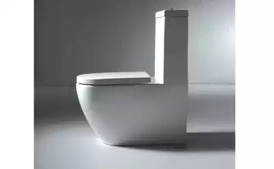 One-piece toilet against the wall straight flush siphon toilet mute export EU certification