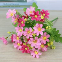 Сяо Зуджу Пинк