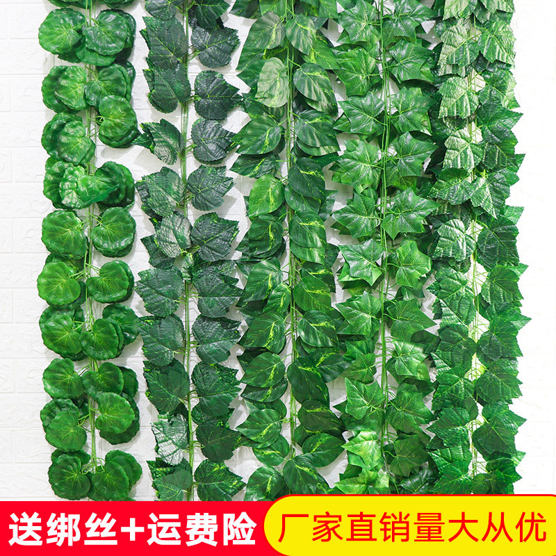 Simulation grape leaves fake flowers rattan vines leaves green leaves water pipe ceiling decoration plastic green dill leaves