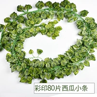 80 таблеток на набережной 12