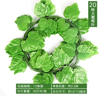 20 листьев больших виноградных листьев (12 упаковок!)