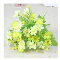 Маленький Зуджу Грин