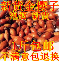 Chinese herbal medicine new product golden cherry dried 500g gold baby Wine Wine Jinyingzi powder Chinese herbal medicine