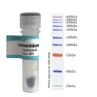 蛋白Marker.彩色，三色，四色，低分子-400kDa均有赛文不好用可退
