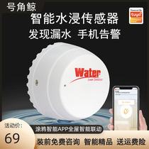 Graffiti Smart Water Immersion Sensor WiFi Kitchen Pool Anti Spills Water Leak Detection Remote Sensing Cell Phone Alarm