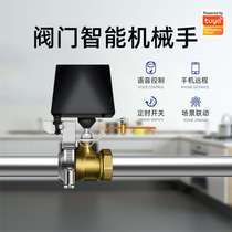 Graffiti ZigBee Intelligent Manipulator Valve Water Valve Electric Switch WiFi Remote Sky Cat Genre Small