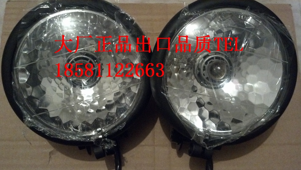 Rebel 250 WELS accessories original plant sub-black plating front small lamp decorative light bulb