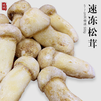 Yunnan specialty Shangri-La frozen matsutake frozen fresh matsutake Fungus Mushroom chilled matsutake 500g without ice
