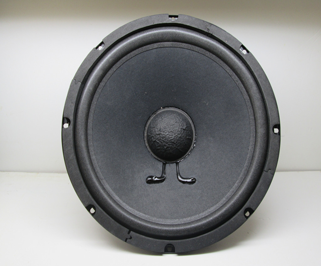 10-inch woofer subwoofer horn horn speaker speaker speaker