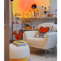 Nordic single sofa chair simple modern living room light luxury leisure tiger chair Net red designer lamb velvet chair